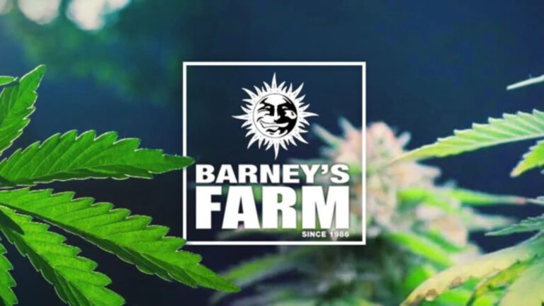 Barneys Farm Geschichte, Genetik, Sortenvielfalt und globale Bedeutung barneys farm